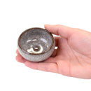 Ceramic Colored Small Plant and Succulent Pot Sets