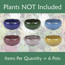 Ceramic Colored Small Plant and Succulent Pot Sets