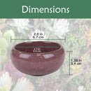 Ceramic Colored Small Plant and Succulent Pot Sets