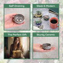 Ceramic Colored Small Plant and Succulent Pot Sets