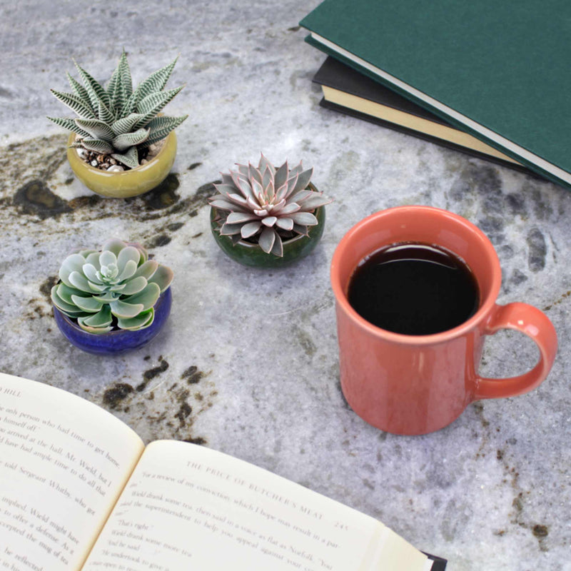 Ceramic Colored Small Plant and Succulent Pot Sets