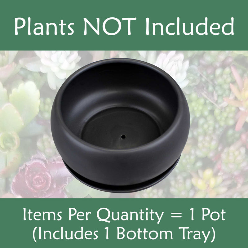 Ceramic Black Round Plant Bowl Pot