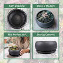 Ceramic Black Round Plant Bowl Pot