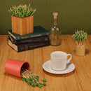 Clover Bamboo Food Picks