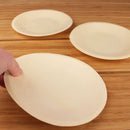 wood pine disposable food appetizer plates hand holding bamboo background