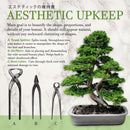 Bonsai 3pc Trunk and Root Set Information