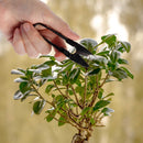 Bonsai 4" Leaf Cutter lifestyle