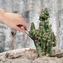 Bonsai 6" Leaf Cutter lifestyle