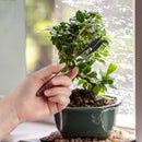Bonsai 6" Leaf Cutter lifestyle