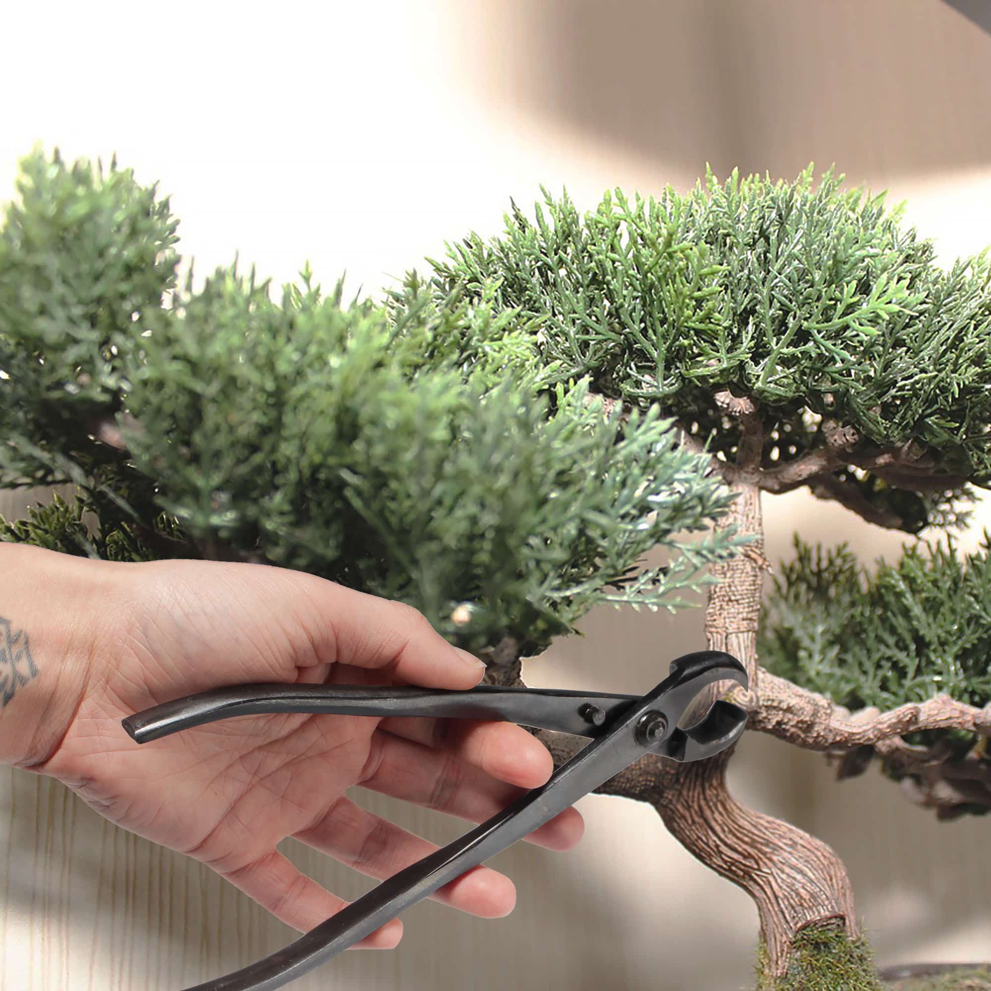 Bonsai 8" Concave Cutter and 8" Knob Cutter