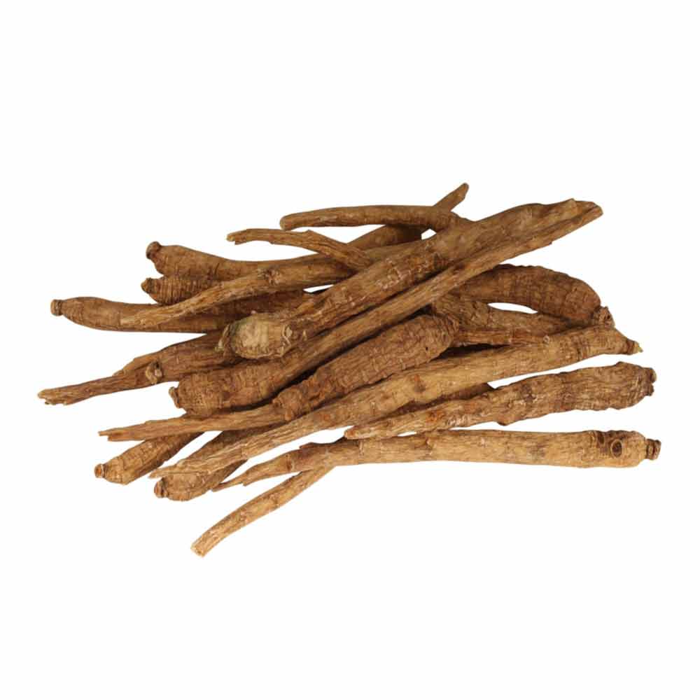 Ginseng Root 3 Year Old