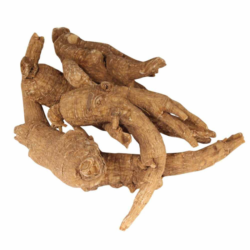 Ginseng Root 4 Year Old American Grown Cultivated for Soups, Teas and Health