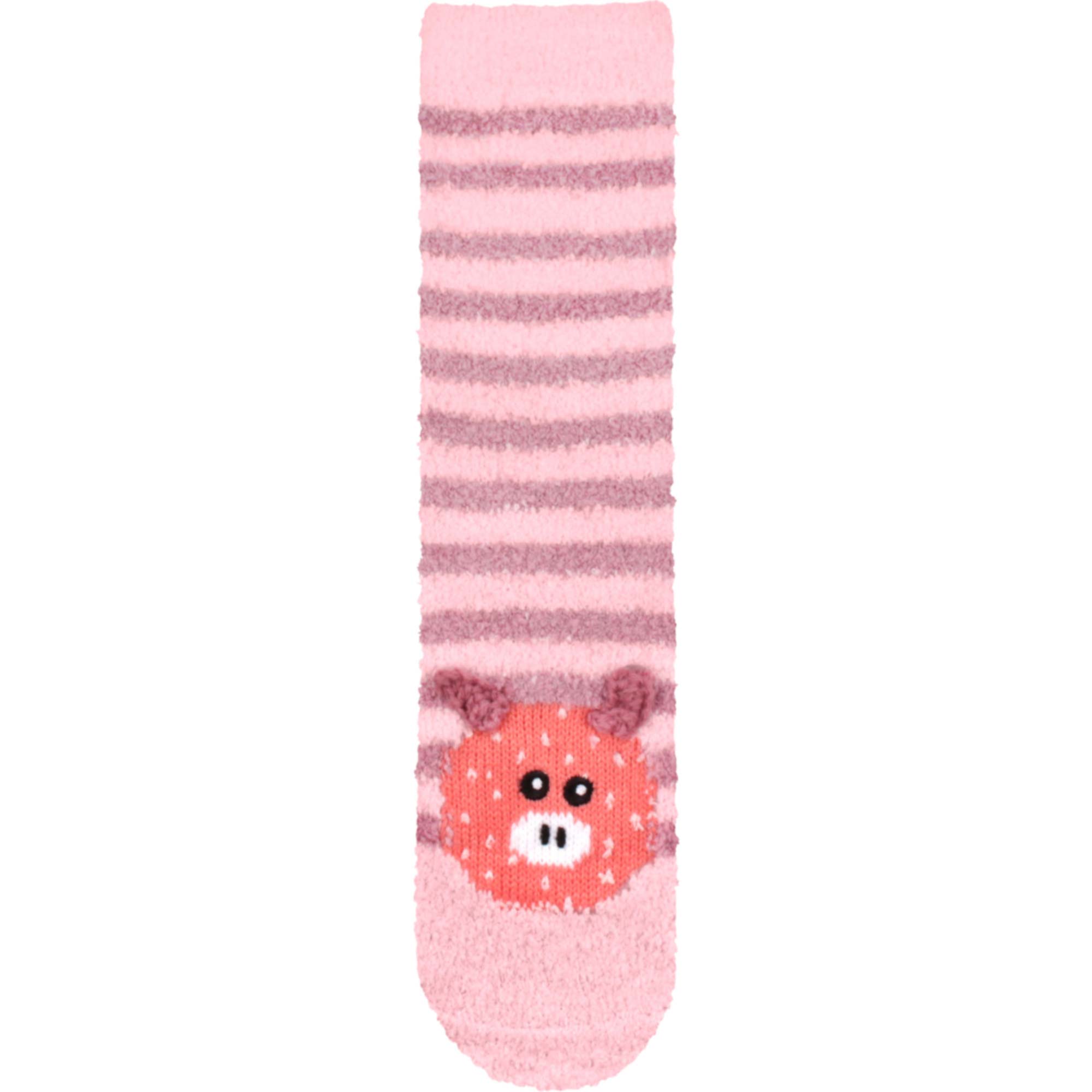 single stripe pig