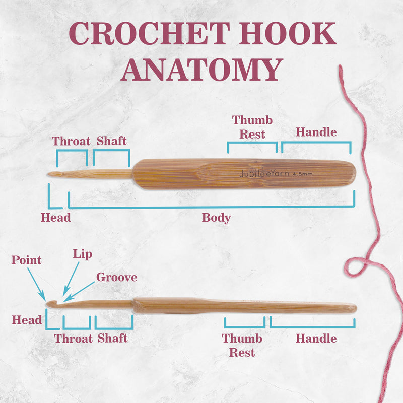 anatomy on the hooks