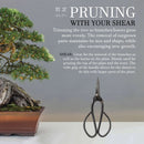 Bonsai 7.87'' Medium Butterfly Shear information