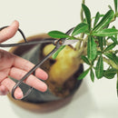 black bonsi trimming scissors tool lifestyle