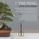 black bonsi trimming scissors tool information