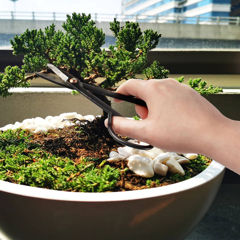 bonsai tree trimming Bonsai 7.2" Trimming Shears