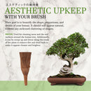 Bonsai 6" Brush information