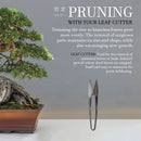 Bonsai 6" Leaf Cutter information