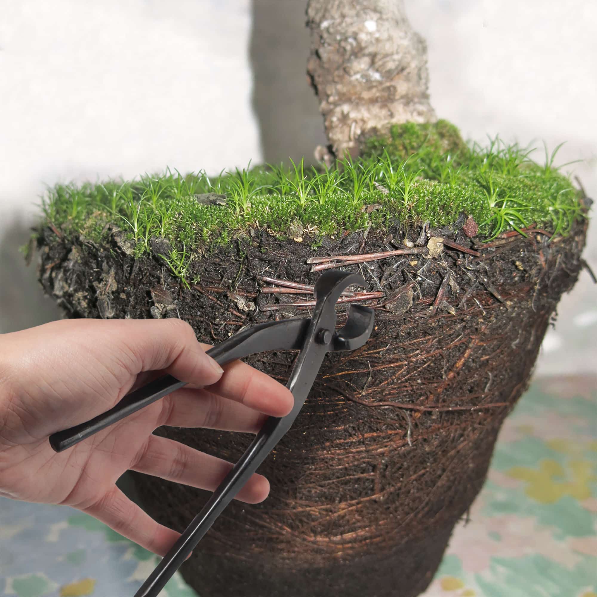 Bonsai 7.5" Root Cutter lifestyle