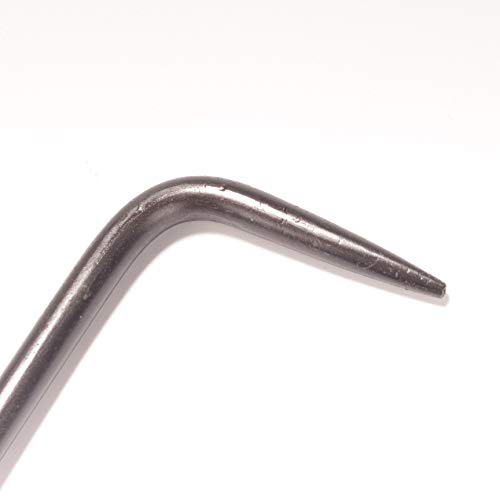 Bonsai 9" Root Pick Close up