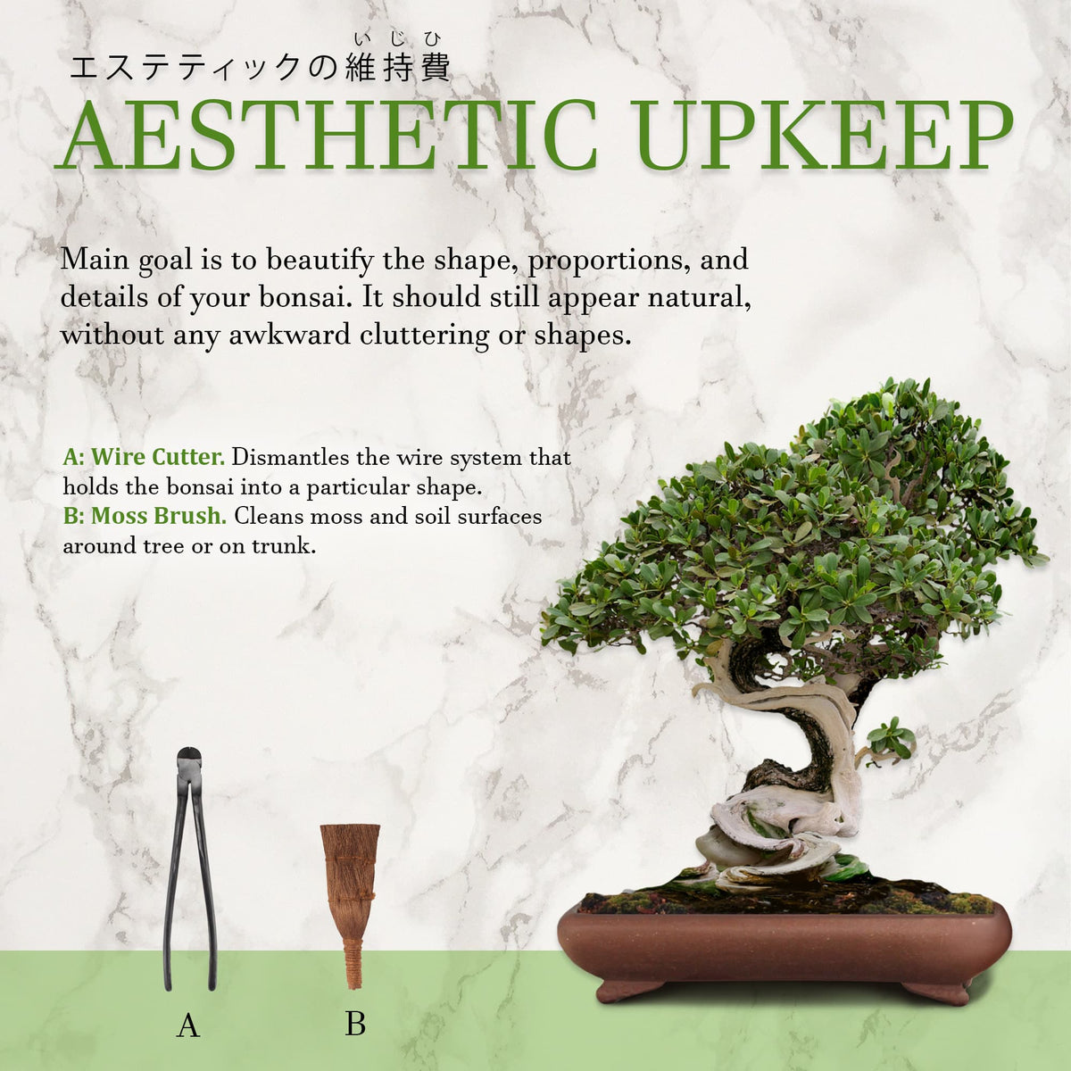 bonsai tree upkeep Bonsai 10pc Advanced Care Set
