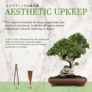 tools for bonsai upkeep