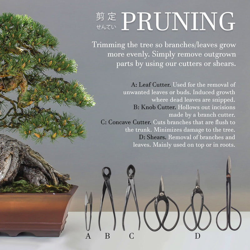 tools for pruning bonsai trees