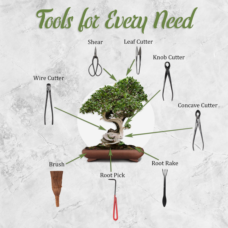 Bonsai tools and there uses