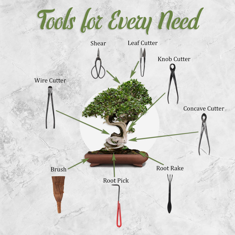 bonsai tree toolkit Bonsai 10pc Advanced Care Set
