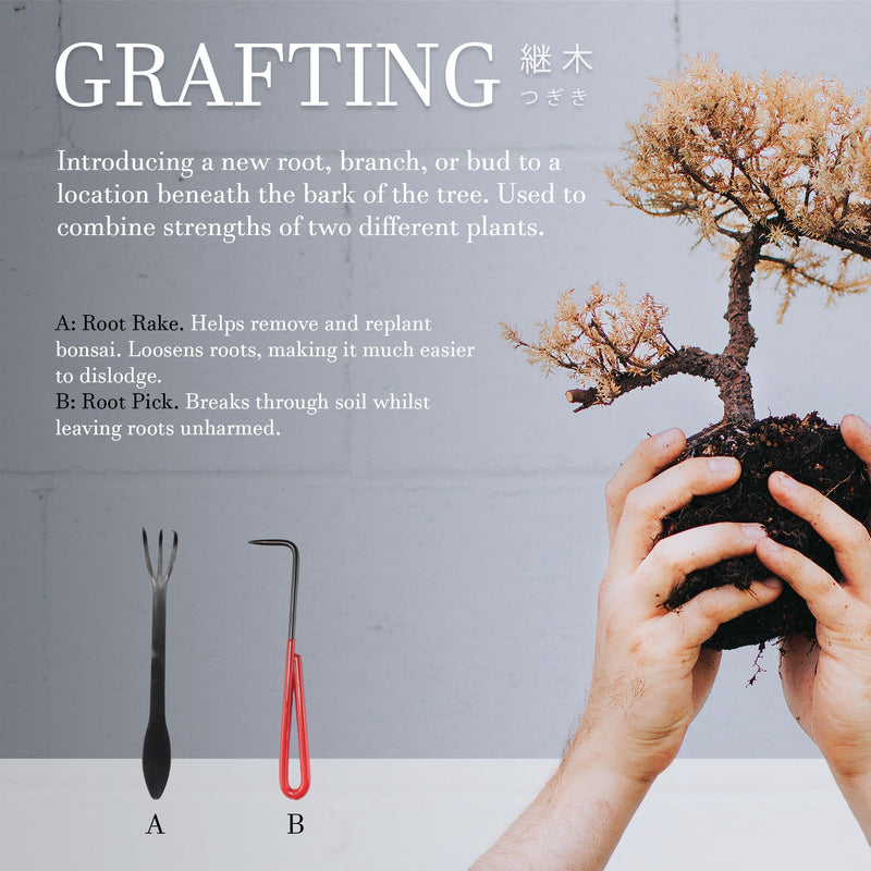 tools for grafting bonsai trees