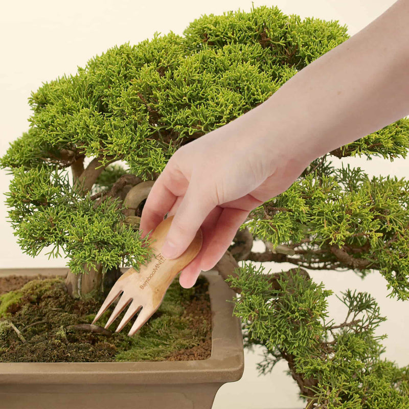 bonsai tree trimming tools Bonsai Tree Pruning Starter Tool Kit