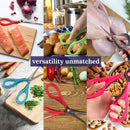 Culinary Queen 6-in-1 Kitchen Shears