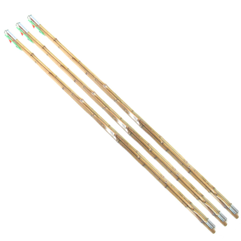  BambooMN 9.75 Ft Natural Bamboo Vintage Cane Fishing Pole with  Bobber, Hook, Line and Sinker, 3 Piece Construction, 1 Set : Sports &  Outdoors