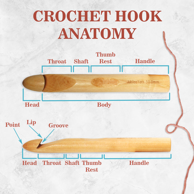anatomy on the hook