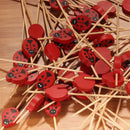 ladybug bug animal bamboo picks closeup