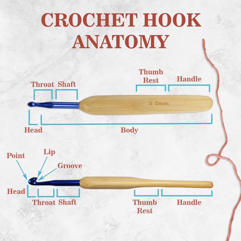 anatomy of the hooks