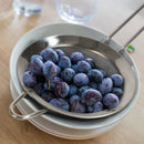 berry-strainer