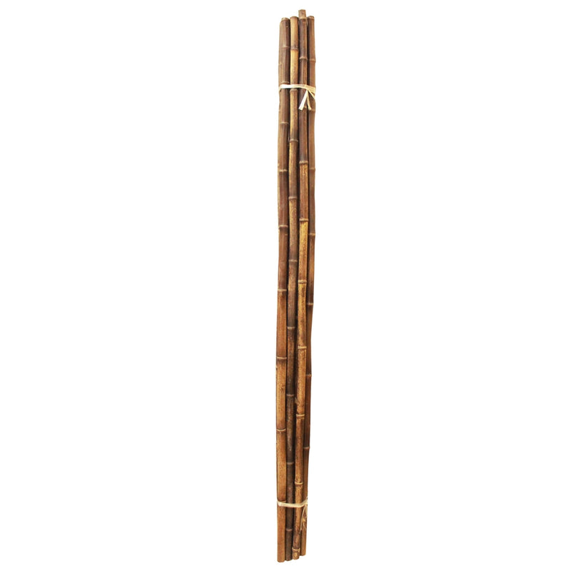 long black bamboo poles
