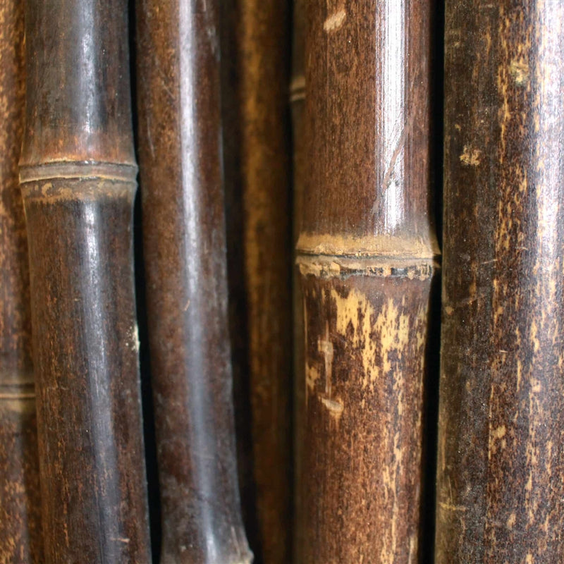 black bamboo poles close up