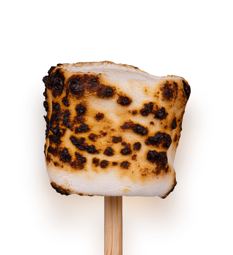 5mm premium bamboo roasting marshmallow sticks skewers