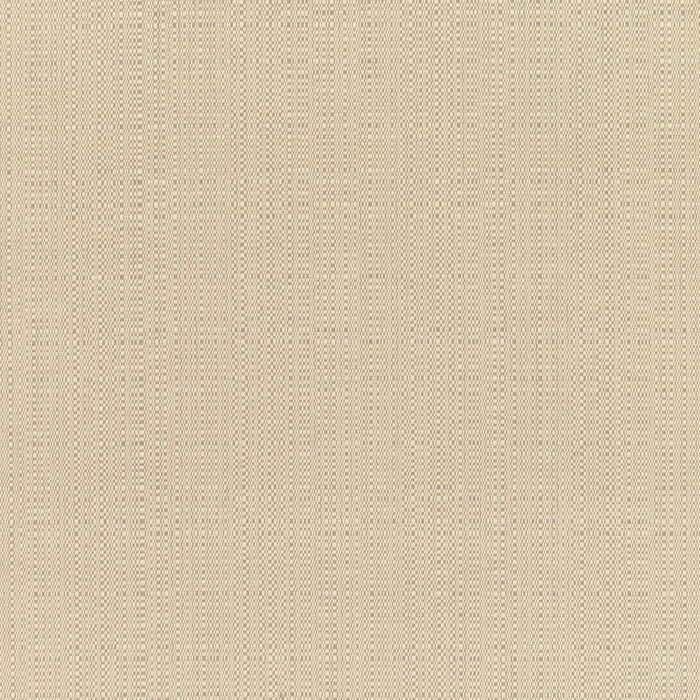 bamboomn Linen Champagne Sunbrella Upholstery Fabric