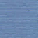 Sunbrella Dupione Galaxy