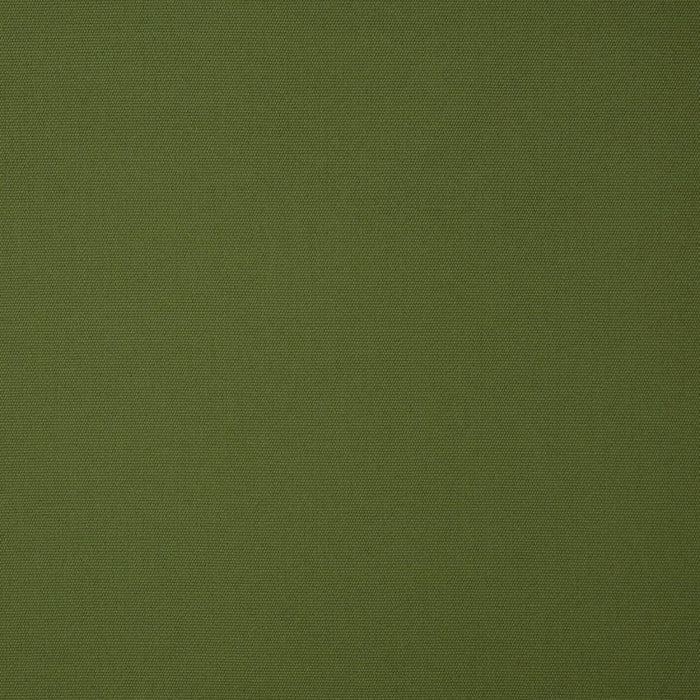 bamboomn Canvas Palm Sunbrella Upholstery Fabric