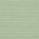 Sunbrella Dupione Seafoam