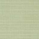 Sunbrella Dupione Aloe