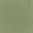 Sunbrella Canvas Fern