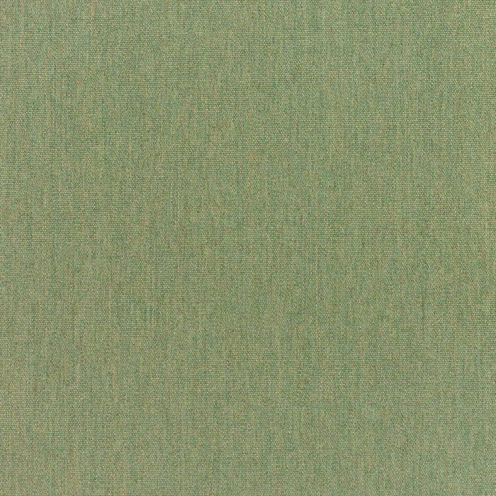 bamboomn Canvas Fern Sunbrella Upholstery Fabric