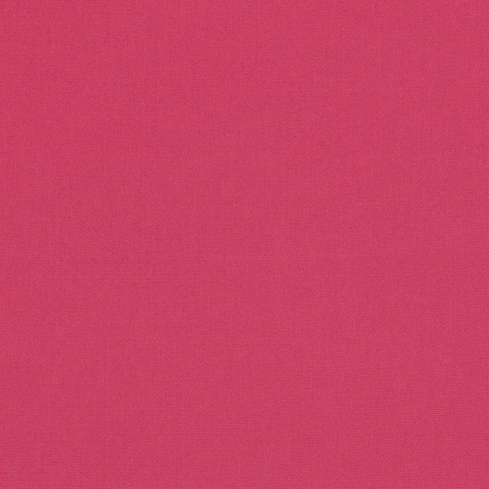 bamboomn Canvas Hot Pink Sunbrella Upholstery Fabric